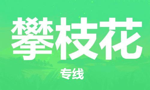 廣州到攀枝花物流公司|廣州至攀枝花貨運(yùn)專線 廣州到攀枝花物流公司|廣州至攀枝花貨運(yùn)專線