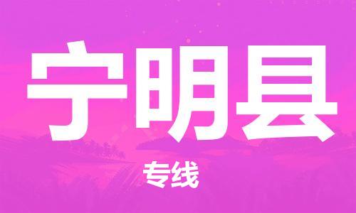 廣州到寧明縣物流公司|廣州至寧明縣貨運專線 廣州到寧明縣物流公司|廣州至寧明縣貨運專線