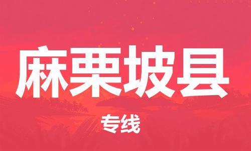 佛山到麻栗坡縣物流專線_佛山至麻栗坡縣物流公司_佛山到麻栗坡縣貨運專線 佛山到麻栗坡縣物流專線_佛山至麻栗坡縣物流公司_佛山到麻栗坡縣貨運專線